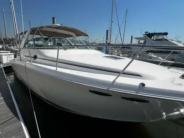 Sea Ray 33