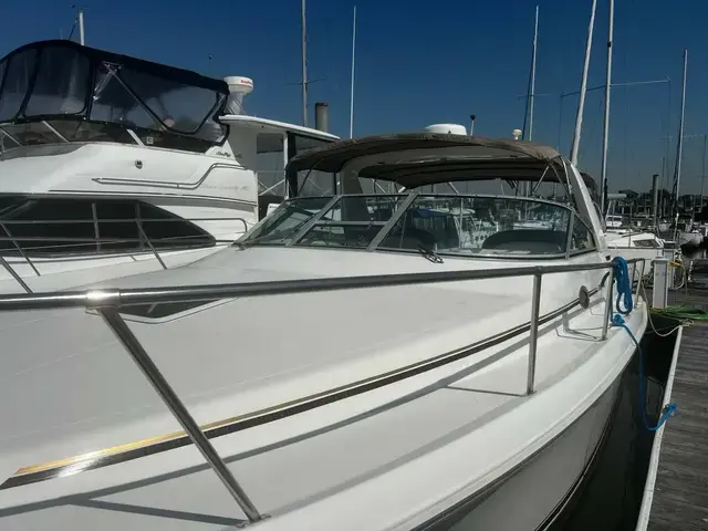 Sea Ray 33