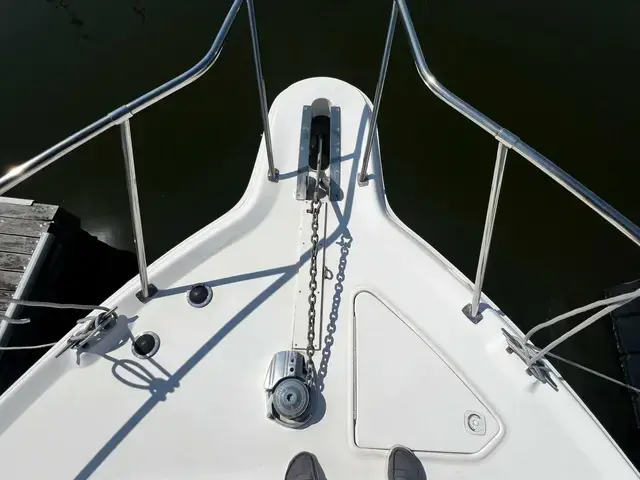 Sea Ray 33