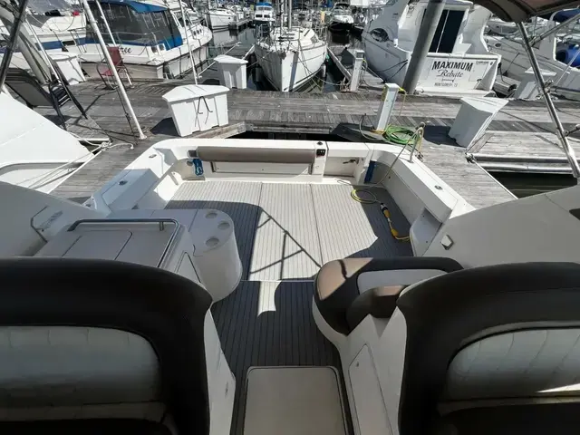 Sea Ray 33