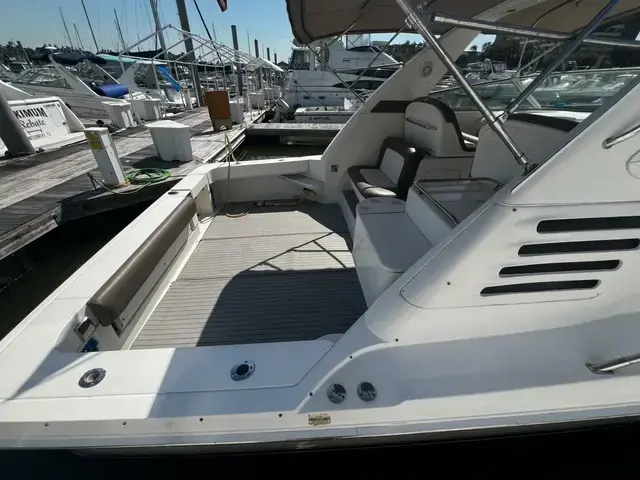 Sea Ray 33