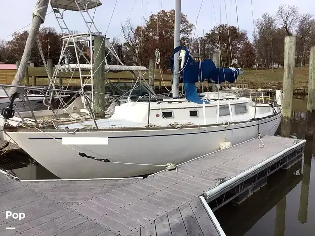 Pearson 35