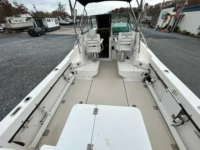 Robalo 24