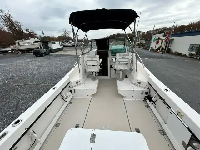 Robalo 24