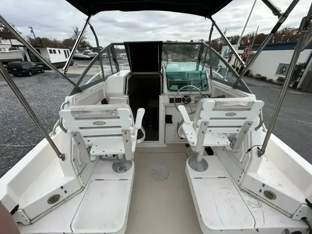 Robalo 24