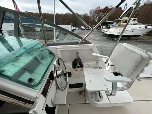 Robalo 24