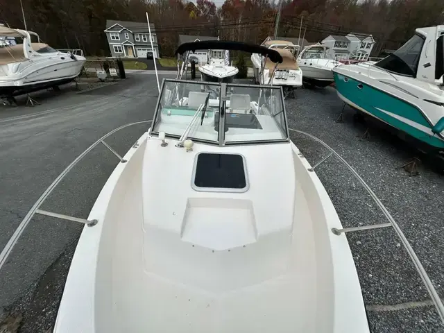 Robalo 24