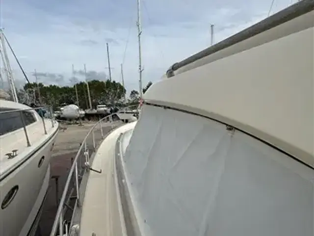 Mochi Craft Dolphin 44