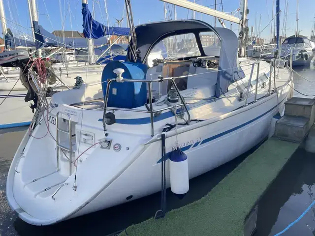 Bavaria 31