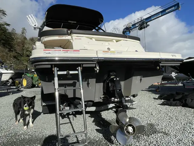 Sea Ray 230 SPXE