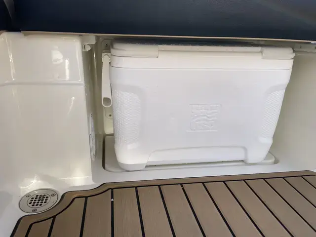 Sea Ray 230 SPXE