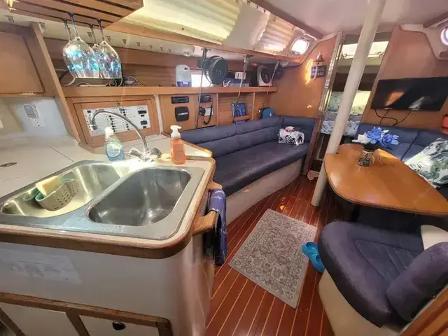 Catalina 320