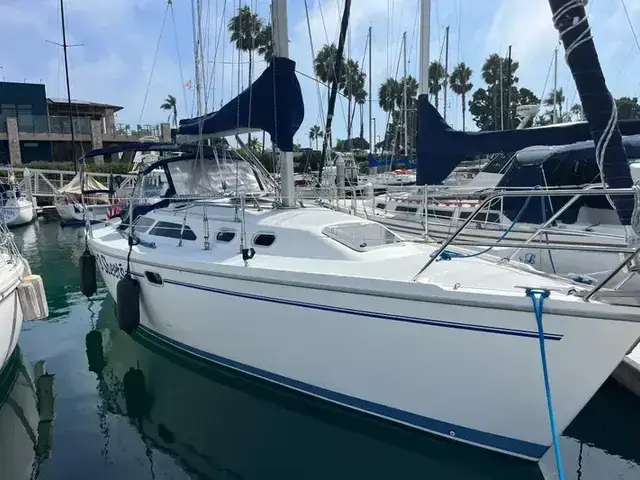 Catalina 320