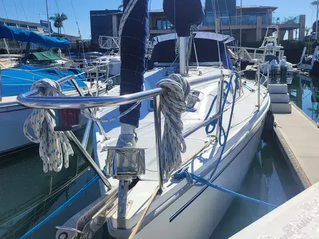 Catalina 320