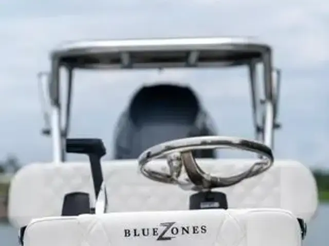 BlueZones Boatworks 16' Flats