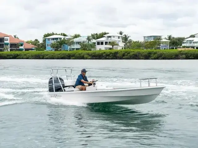 BlueZones Boatworks 16' Flats