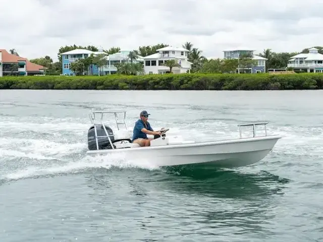 BlueZones Boatworks 16' Flats