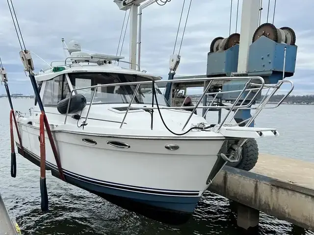 Cutwater 32