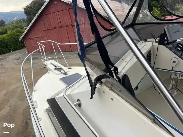 Skipjack 25 Flybridge