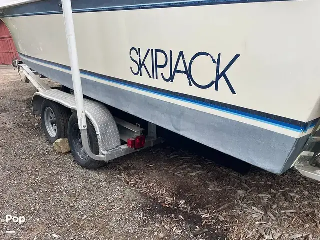 Skipjack 25 Flybridge