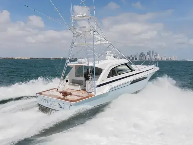 Bertram 50 Open