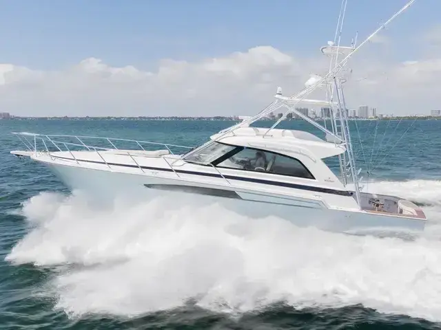 Bertram 50 Open