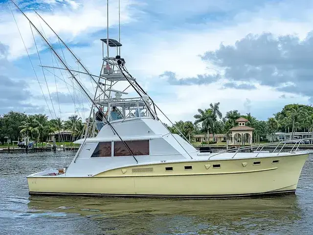 Hatteras 50