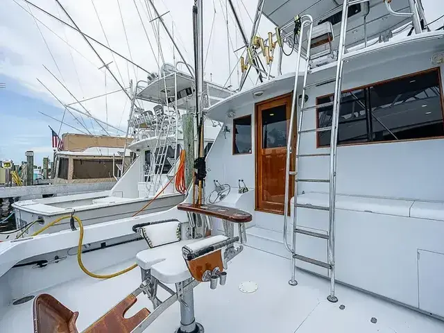 Hatteras 50