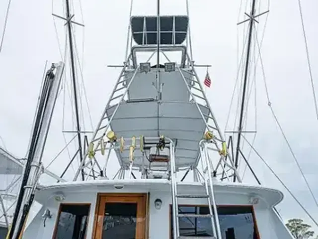 Hatteras 50