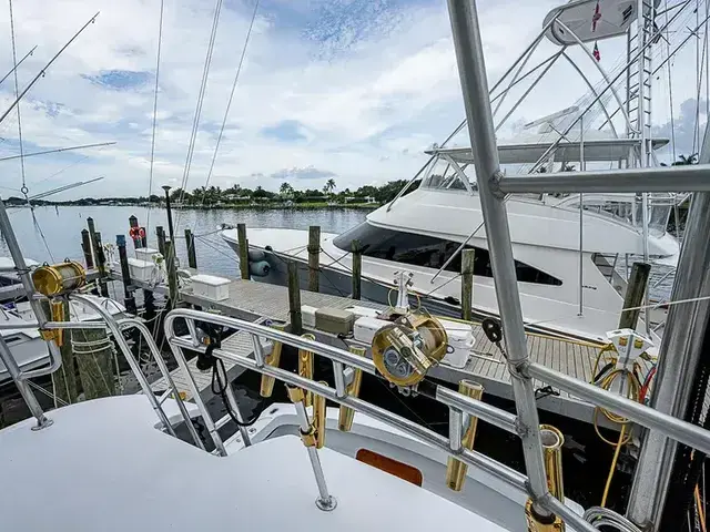 Hatteras 50