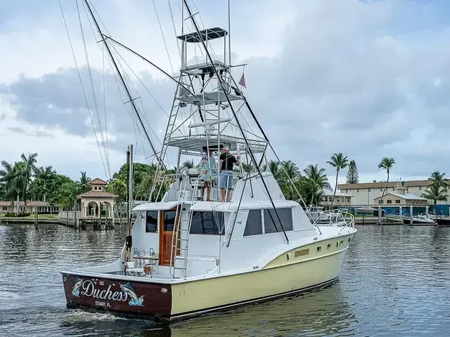 Hatteras 50