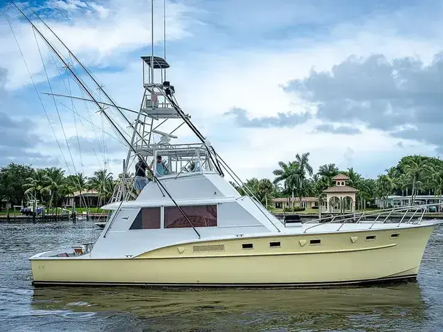 Hatteras 50