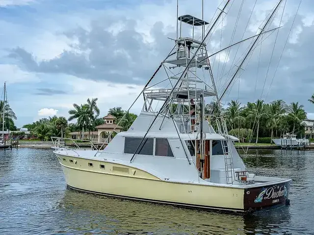 Hatteras 50