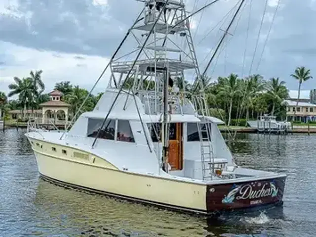 Hatteras 50