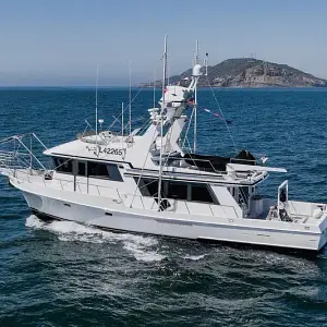 2008 Little Hoquiam 65'