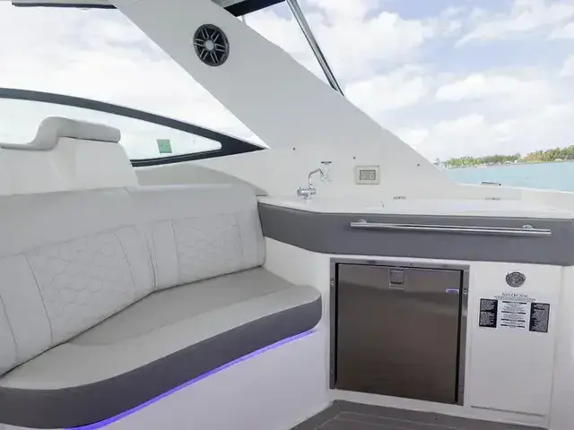 Sea Ray 32