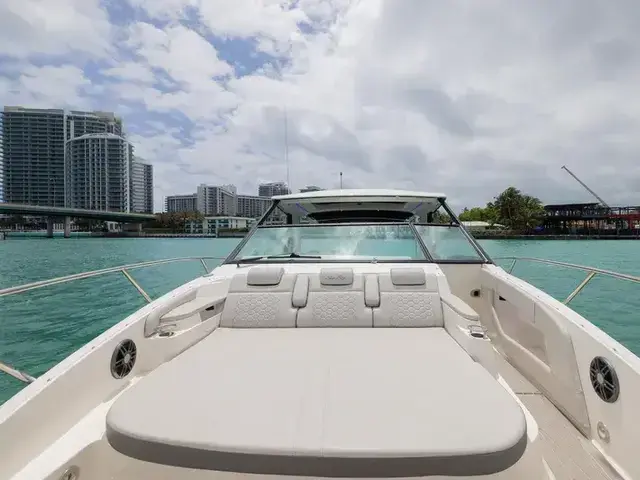 Sea Ray 32