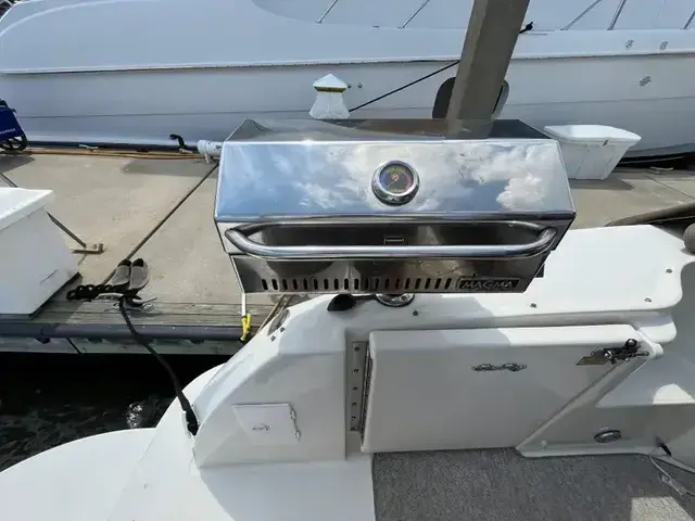 Sea Ray 410 Express Cruiser