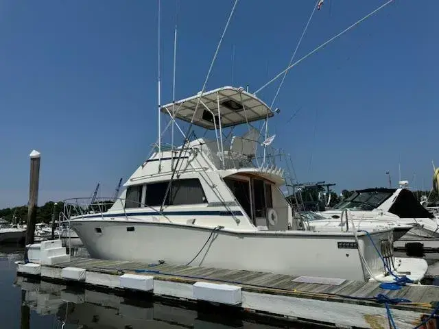 1985 Bertram 38