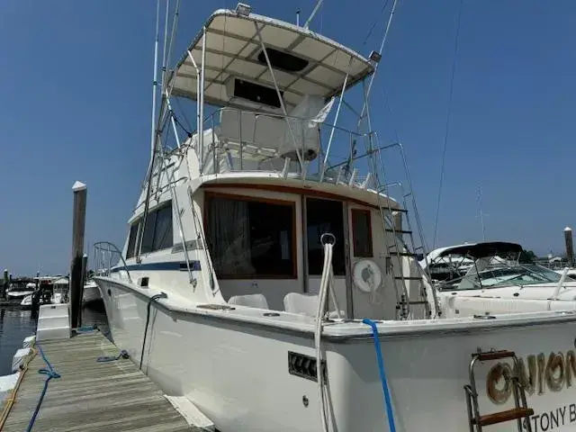 1985 Bertram 38