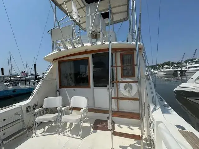 1985 Bertram 38