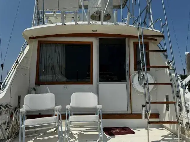 Bertram 38