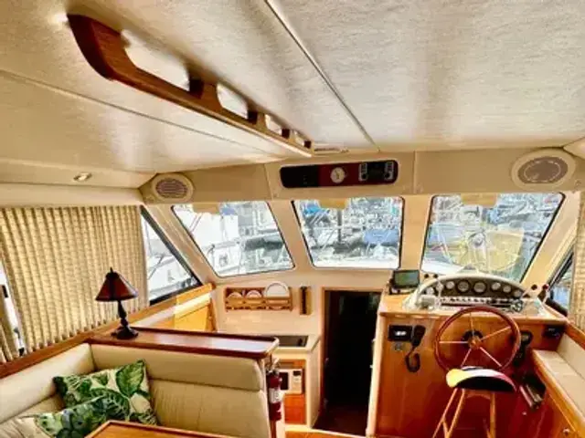 Riviera 36