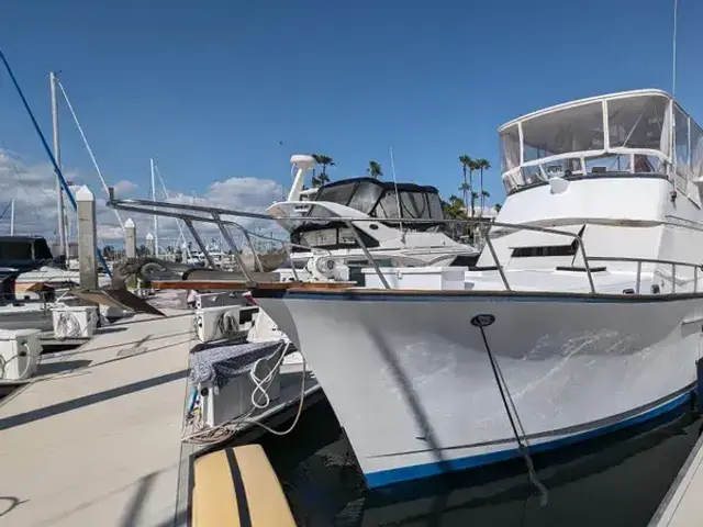 Sea Ranger 45