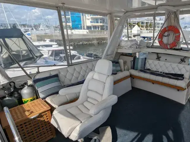 Sea Ranger 45