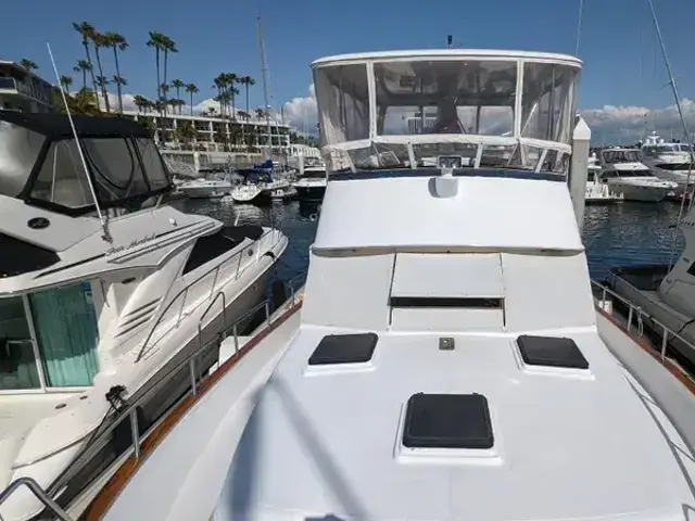 Sea Ranger 45