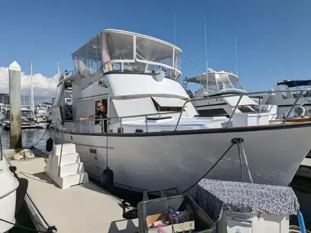 Sea Ranger 45