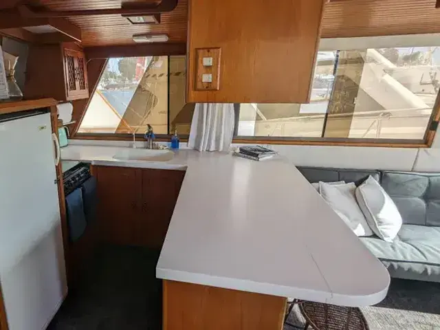 Sea Ranger 45