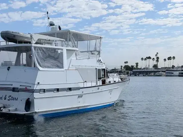 Sea Ranger 45