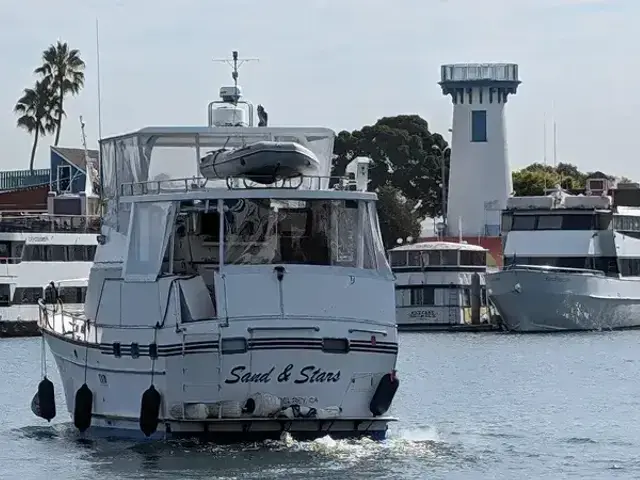 Sea Ranger 45